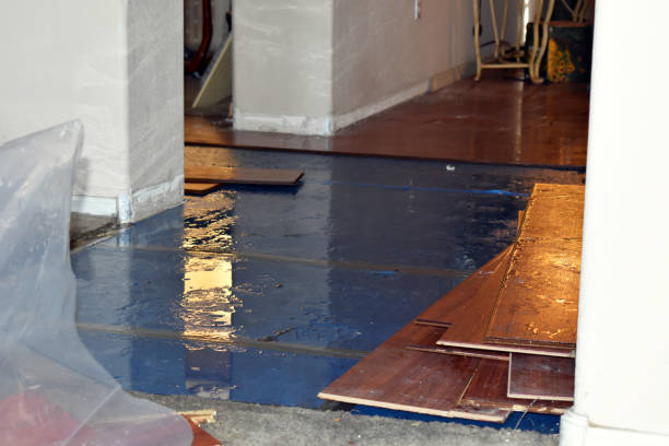 Professional Water Damage technician working in Richmond, IL